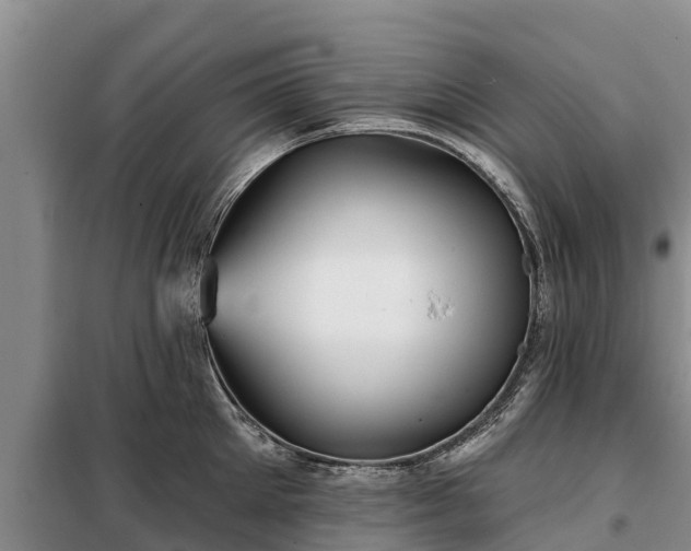 X0000099300905200805090951