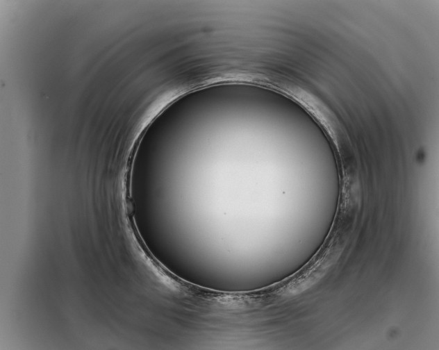 X0000099300906200805090951