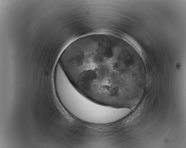 X0000099300907200805090951