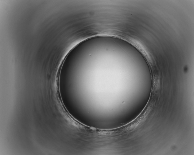 X0000099300908200805090951