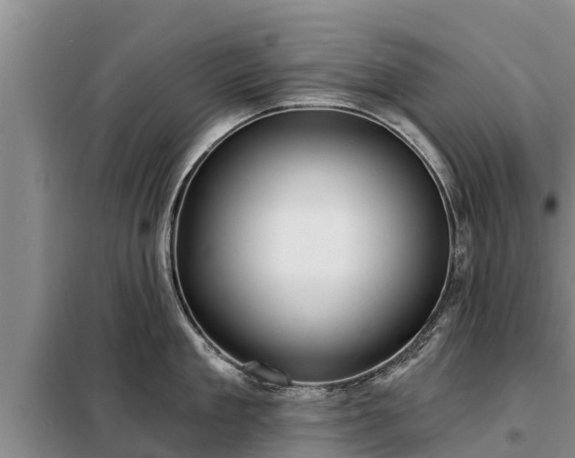 X0000099300909200805090951