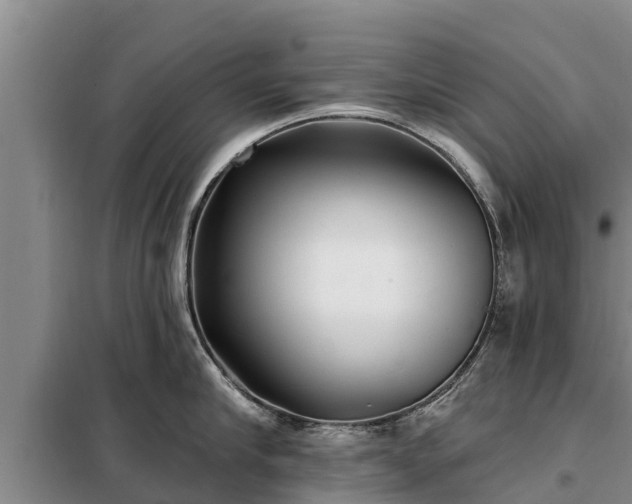 X0000099300910200805090951