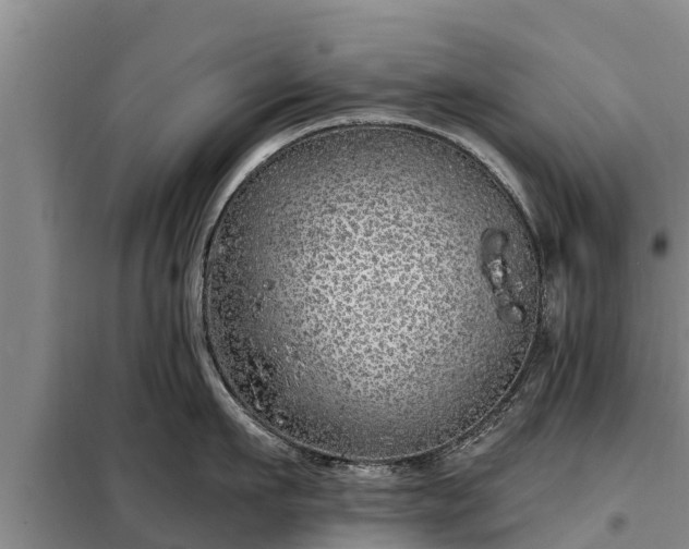 X0000099300911200805090951