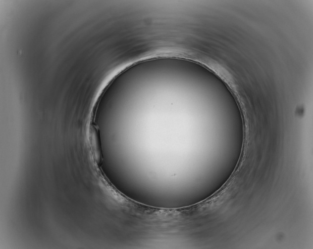 X0000099300912200805090951