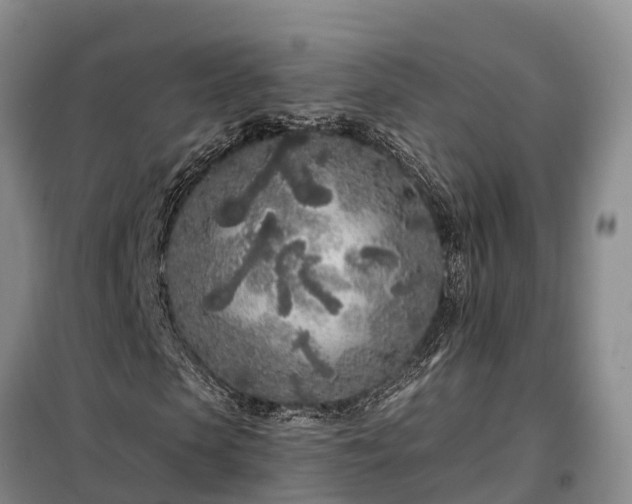 X0000099300913200805090950