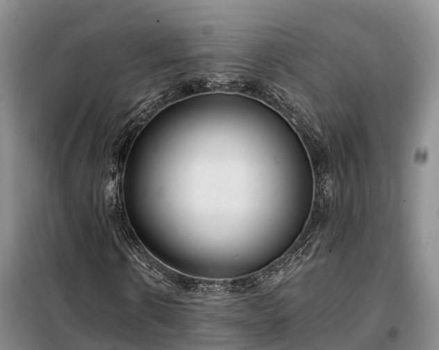 X0000099300914200805090950