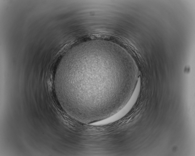 X0000099300915200805090950