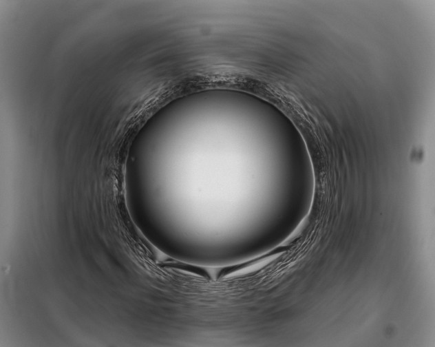 X0000099300916200805090950