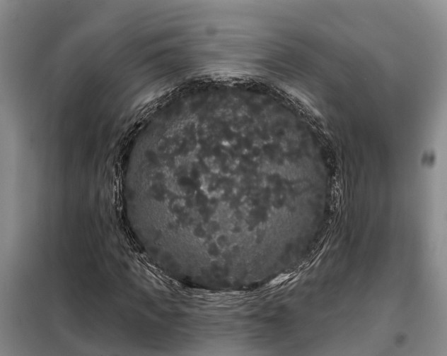 X0000099300917200805090950