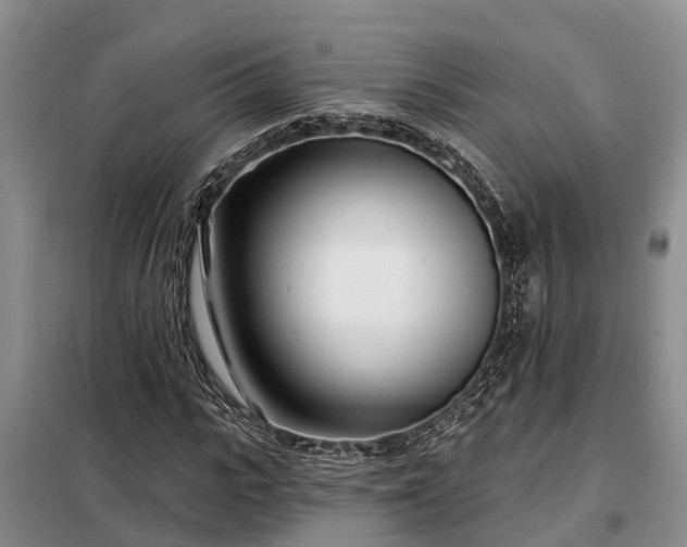 X0000099300919200805090951