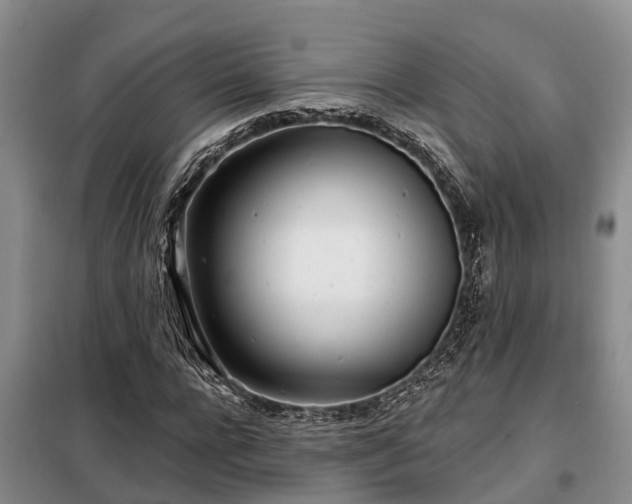 X0000099300920200805090951