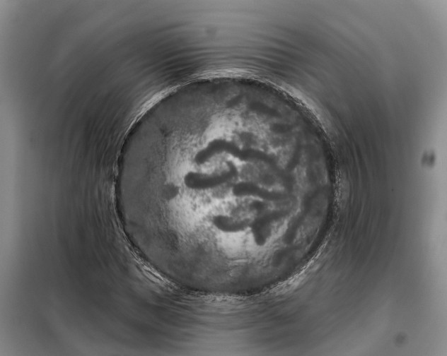 X0000099300921200805090951