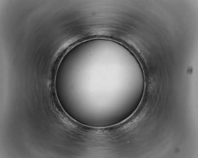 X0000099300922200805090951