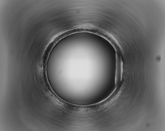 X0000099300923200805090951