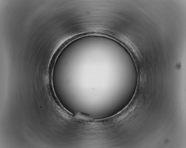 X0000099300924200805090951