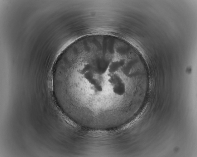 X0000099300925200805090951