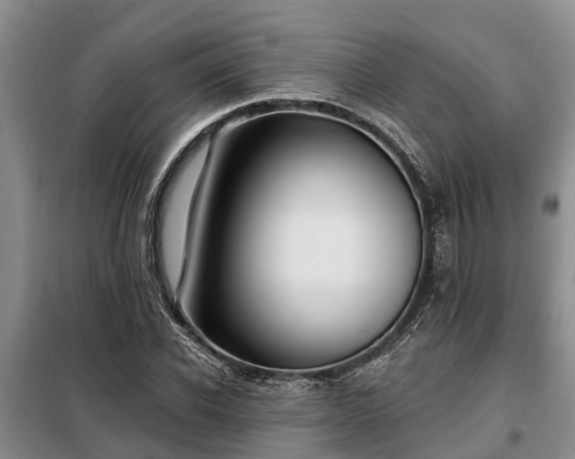 X0000099300926200805090951