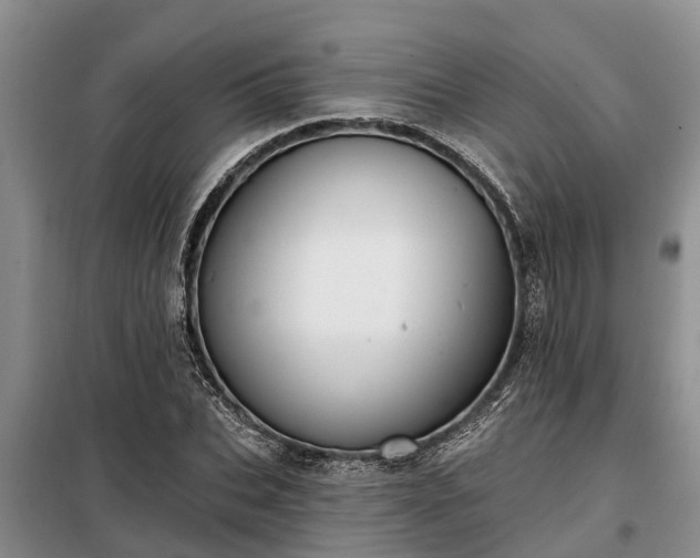 X0000099300927200805090951