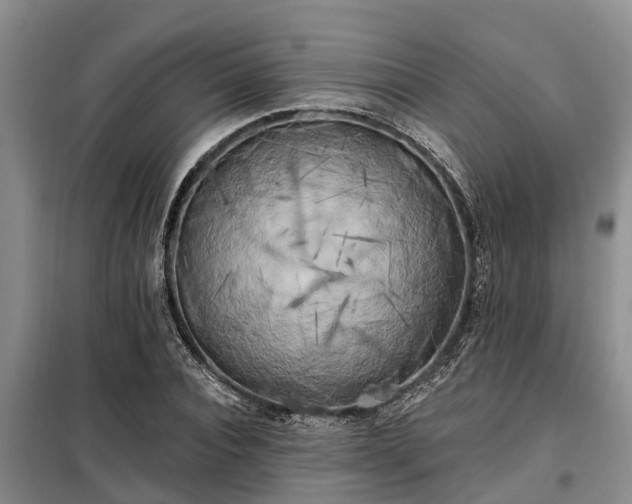 X0000099300928200805090951