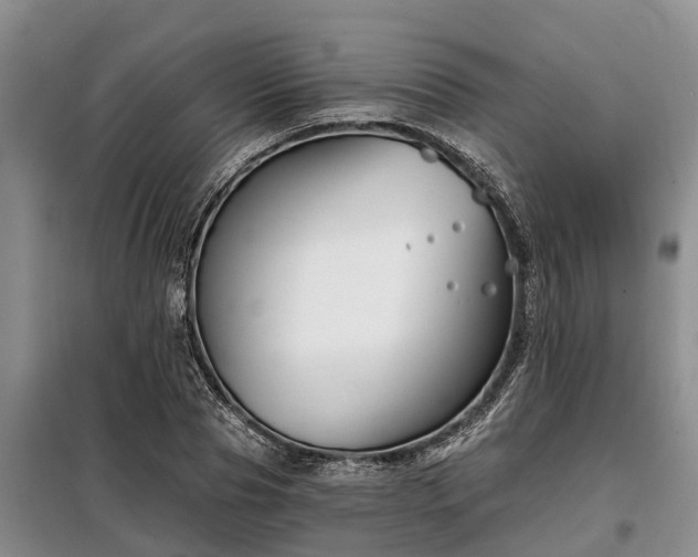 X0000099300929200805090951