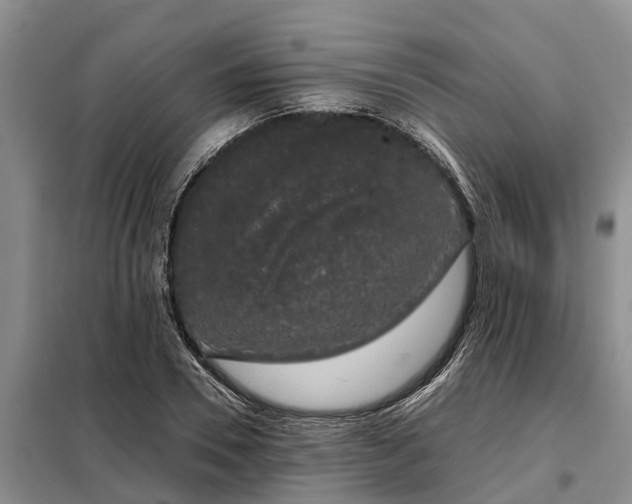 X0000099300930200805090951