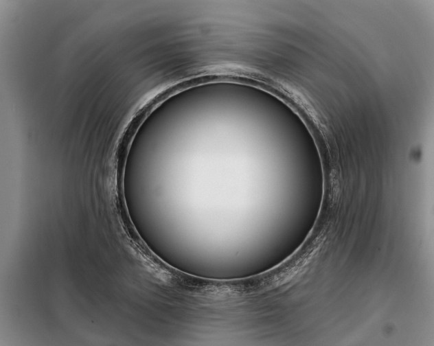 X0000099300931200805090951