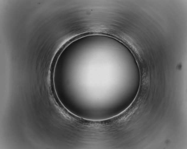 X0000099300932200805090951