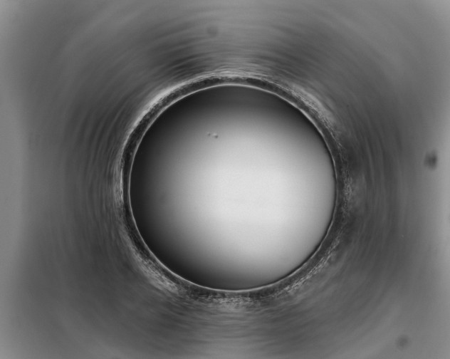 X0000099300934200805090951