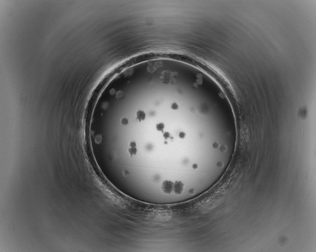 X0000099300935200805090951