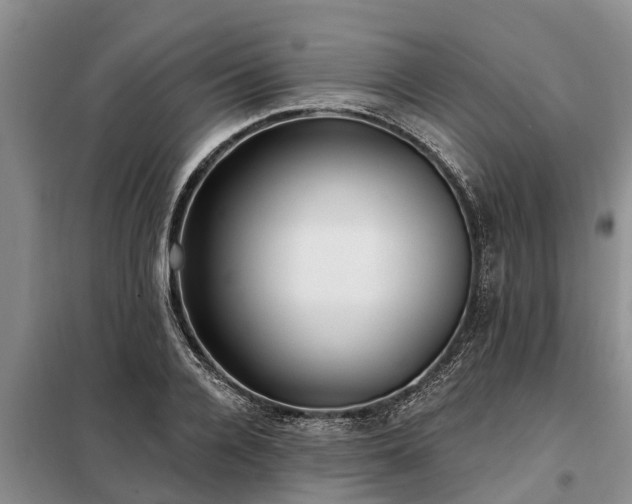 X0000099300936200805090951