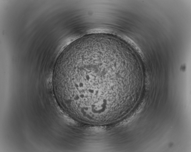 X0000099300937200805090951