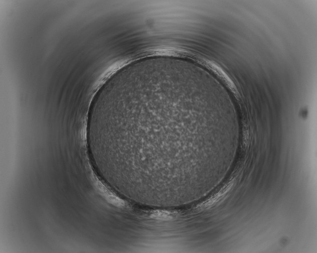 X0000099300938200805090951