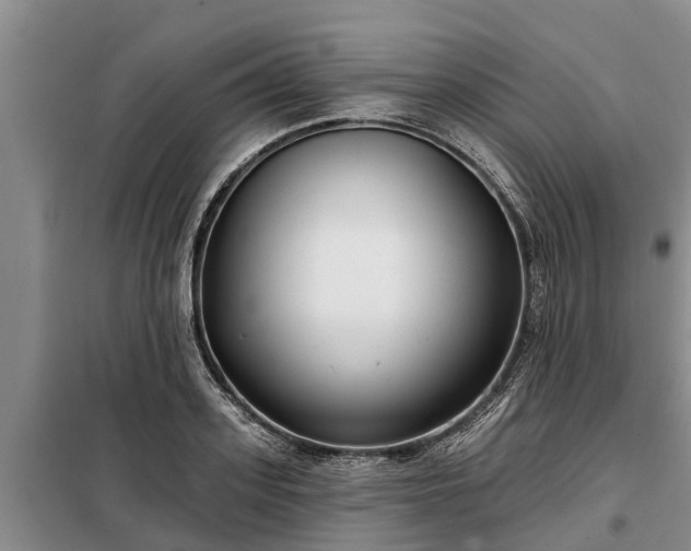 X0000099300939200805090951