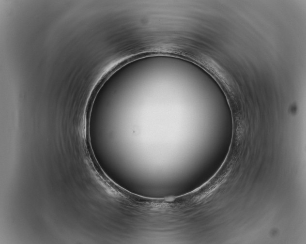 X0000099300940200805090951