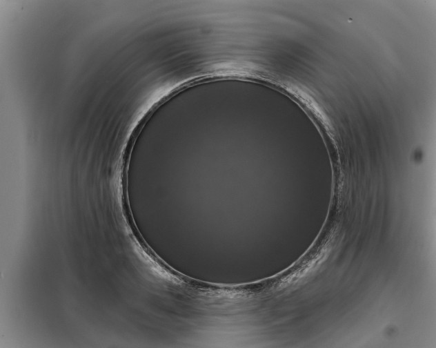 X0000099300941200805090951