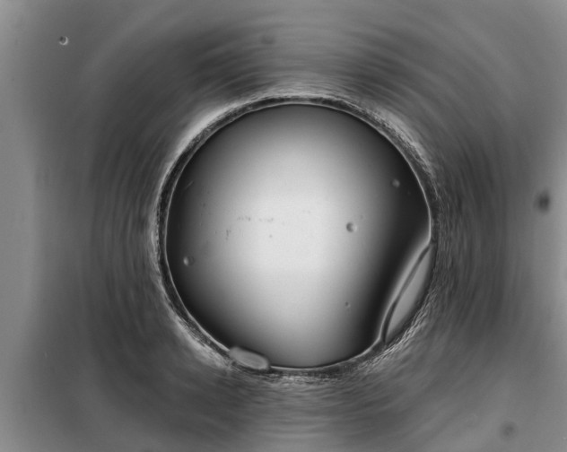 X0000099300942200805090951