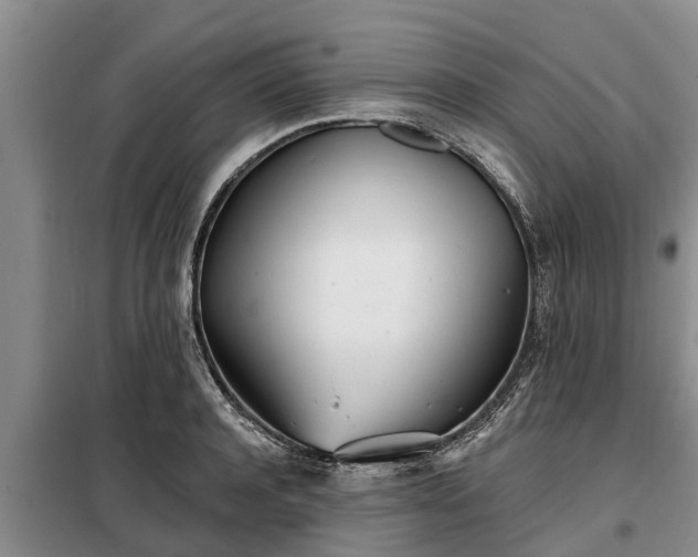 X0000099300944200805090951