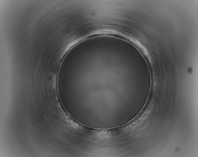 X0000099300945200805090951