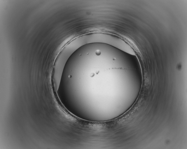 X0000099300946200805090951