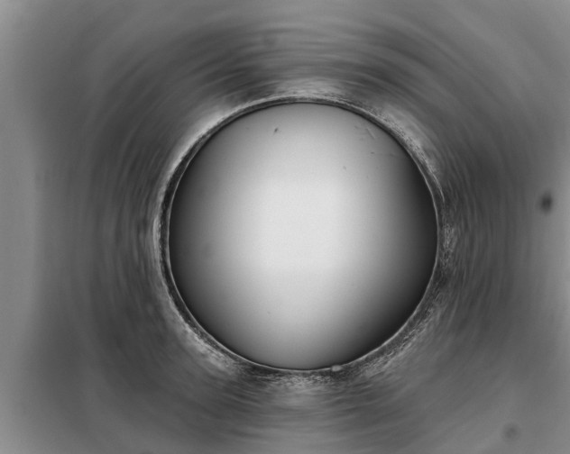 X0000099300947200805090951