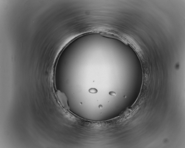 X0000099300948200805090951