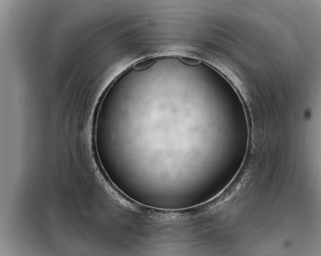 X0000099300949200805090951