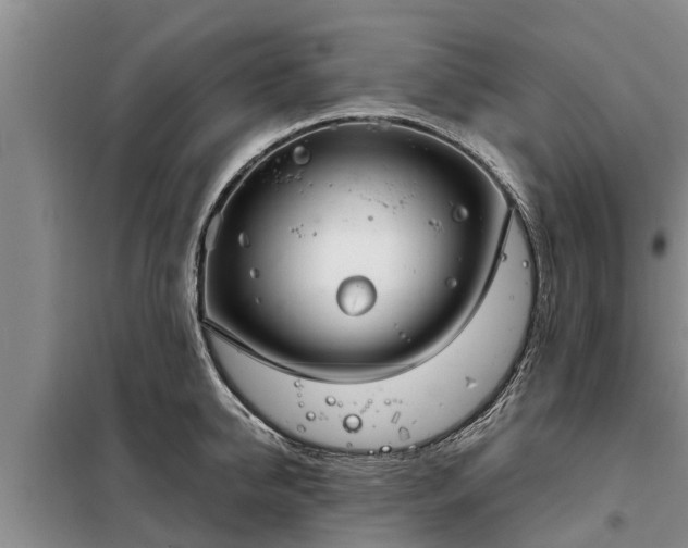 X0000099300950200805090951