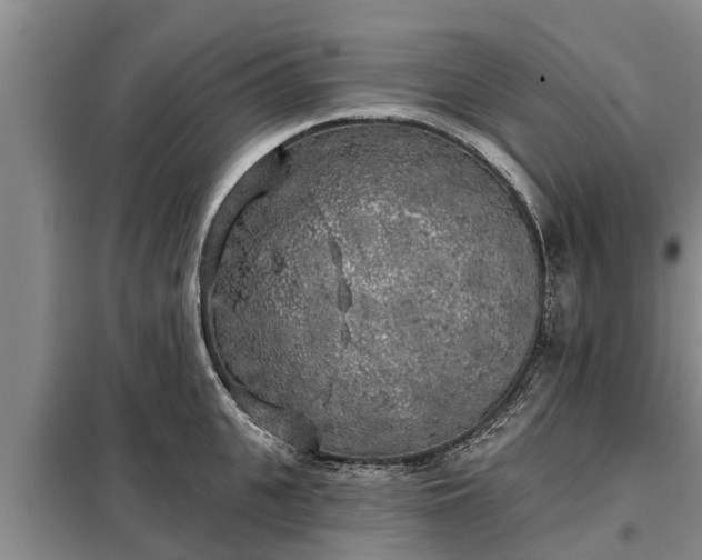 X0000099300951200805090951