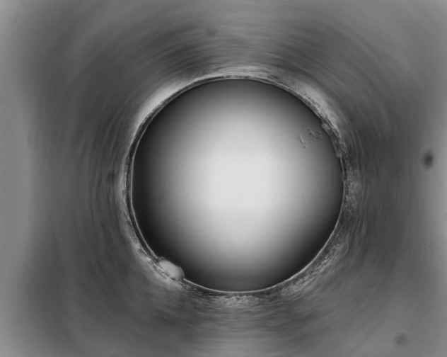 X0000099300952200805090951