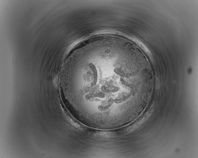 X0000099300953200805090951