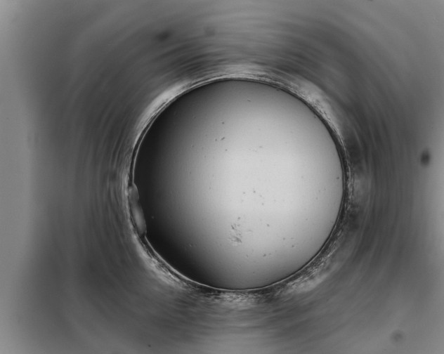 X0000099300954200805090951