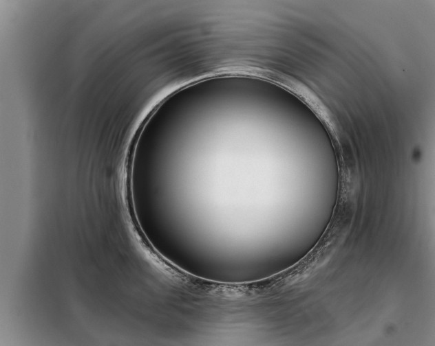 X0000099300955200805090951