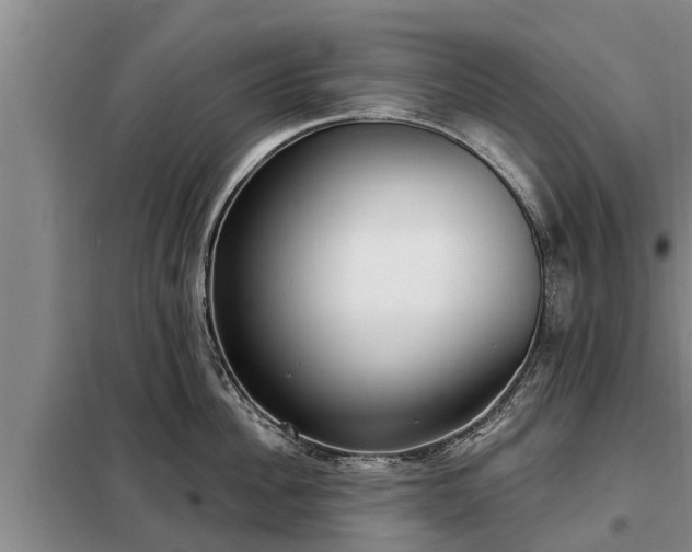 X0000099300956200805090951