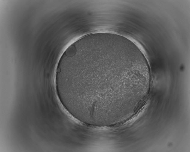 X0000099300957200805090951